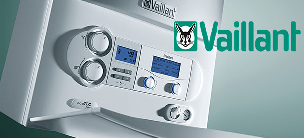 vaillant-403977